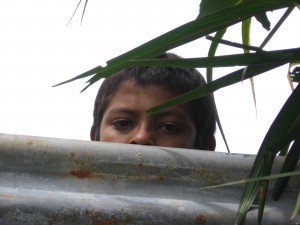 Child peering from behind laminate